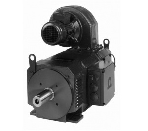 Электродвигатель Baumuller GNF 200 SNA